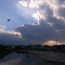 鳥と空