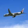 「SKY」JAL 嵐JET 787-9 JA873J　出発