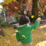 下関長府　覚苑寺のイチョウ