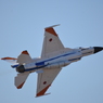 2019 岐阜基地航空祭 F-2 その1