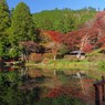 水面に閉じ込めた紅葉