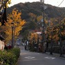 京都東山