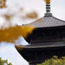 東寺の五重塔です。