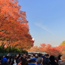紅葉と月と行列