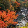 那賀川上流②