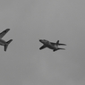 2010芦屋航空祭