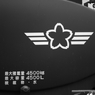 2010芦屋航空祭