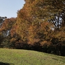 公園の秋 －１