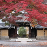 本願寺西山別院の秋