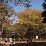 公園の秋 －４