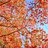 晩秋の空模様