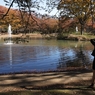 公園の秋 －９