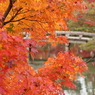 紅葉と池と石橋