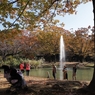 公園の秋 －１１