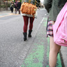 photo_917616