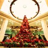  Merry Christmas！！