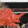 南禅寺三門と紅葉