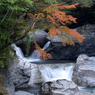 おおとどろの上流