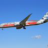 「青が好き」ETIHAD F-1カラー787-9 A6-BLV  Landing