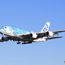 「青が好き」ANA A380-841 JA381A Landing