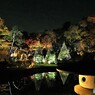 ーひごあかりー、、、④