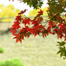 祝融山慈眼寺