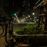 都庁前通りの夜