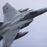 F-15J_303SQ_8531