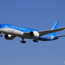「青い日」アモイ航空 787-9 特別塗装 B-1356 Landing