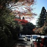 小国神社 2