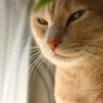 IMG_7199