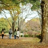 autumn for tokyoites 2019