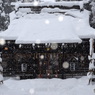 今日は大雪です＾＾