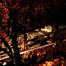 紅葉と忘れられたお堂