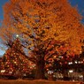 土曜夜のキャンパス