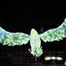 ー光の祭典２０１９－、、、ⅴ