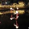 ー光の祭典２０１９－、、、ⅵ
