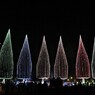 ー光の祭典２０１９－、、、ⅷ