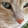 IMG_2441.jpg01