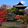 群馬赤城福増寺の秋⑦