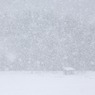 雪は～降る　^^;