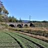 2009登録　土木遺産　めがね橋