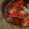 紅葉スープ