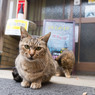 角打ち屋さんの店先にて