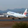 鳥になる瞬間