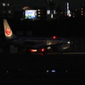浮き上がるツルのマーク