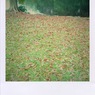 shake08