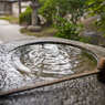 東寺の観智院の手水鉢です。