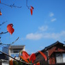 晩秋