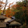 「久良岐公園 晩秋04」